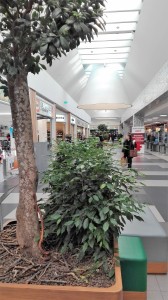 Foto di A. Fantauzzo